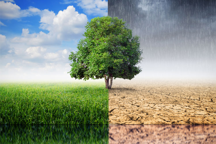 上手くいかない心の構造