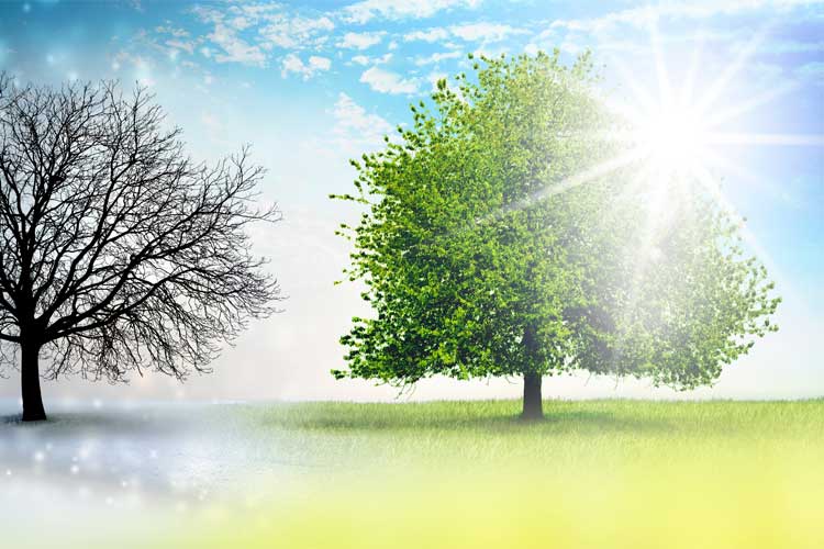 個人セッション